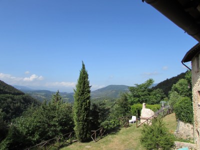 The view from my kitchen window