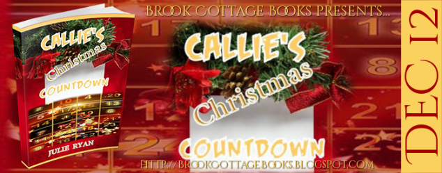 Callies Christmas Countdown Banner