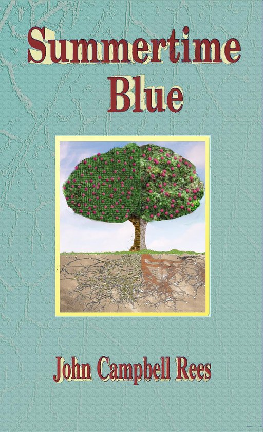 Guest Post by Summertime Blue author John Campbell Rees | Linda's Book Bag