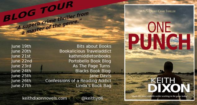 One Punch Blog tour poster