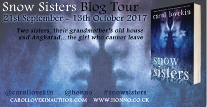 snow sisters blog tour poster2