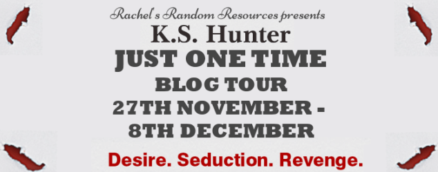 Just One Time Tour Banner Horizantal