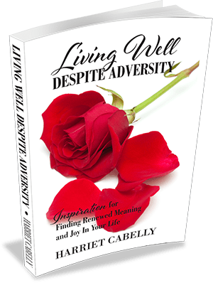 3D-Cover-DespiteAdversity-Rev1-300px (1)