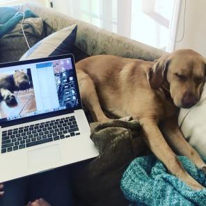 33672647_777512522447037_33247535111864320_n