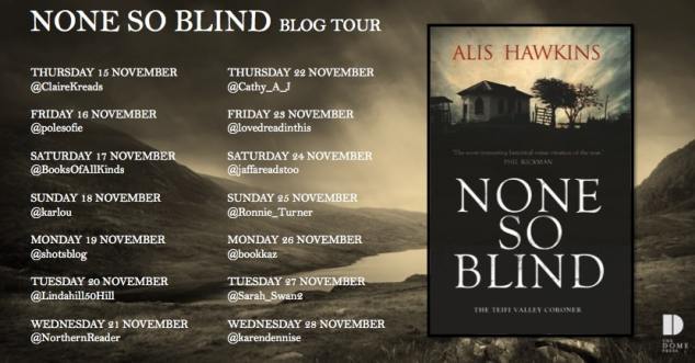 None So Blind Blog Tour Poster (1)