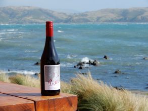 Fickle Mistress seaside