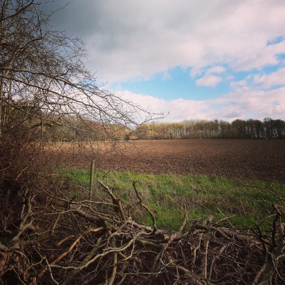 Smockmill - field view - February